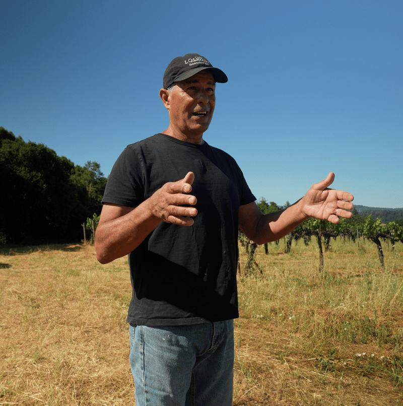 Athan-Lolonisvineyards-core