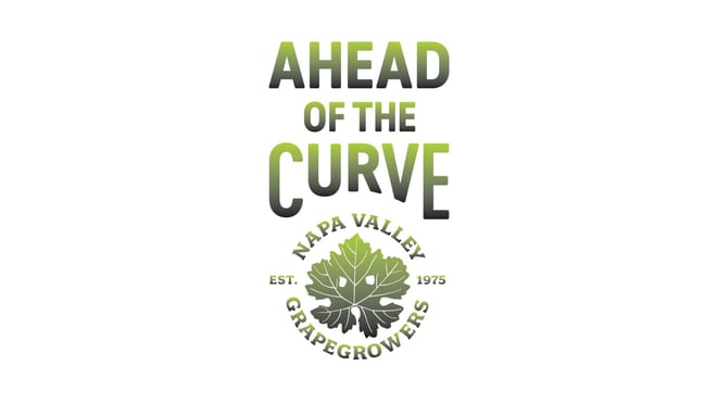 Ahead of the Curve