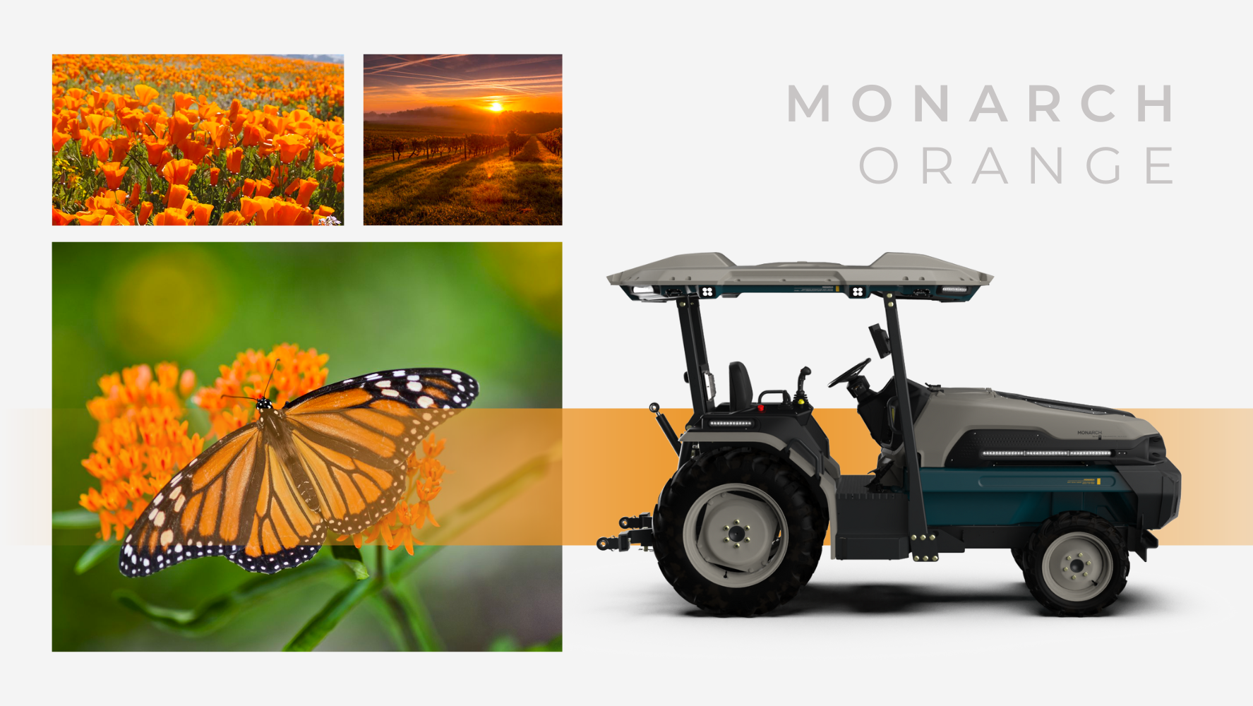 3_Monarch_Orange