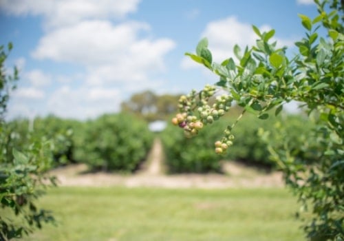 USDA Grant Funds Monarch Tractor Deployment and Partnership with Hopville Farms and Oregon State University