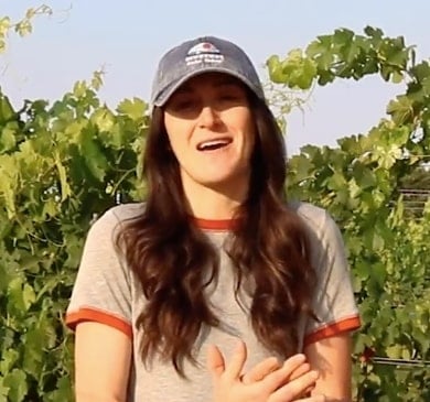 Wente Energy Case Study