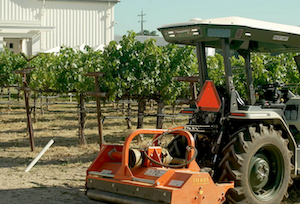 Vineyards are Using A.I. to Battle Climate Change