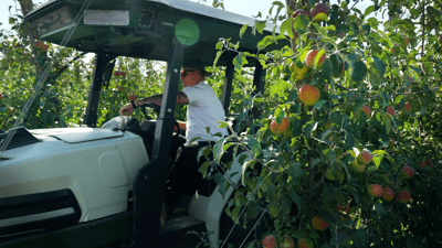 MT_Aug22_R&D-Apples-Photos-11 (1)