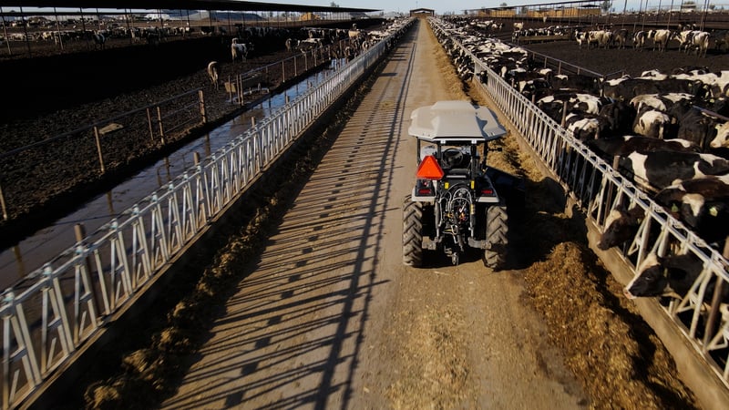 Monarch's MK-V Dairy autonomous tractor pushes feed in an outdoor dairy lane.