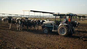 Mois national du lait : Monarch fait progresser AgTech dans l'industrie laitière