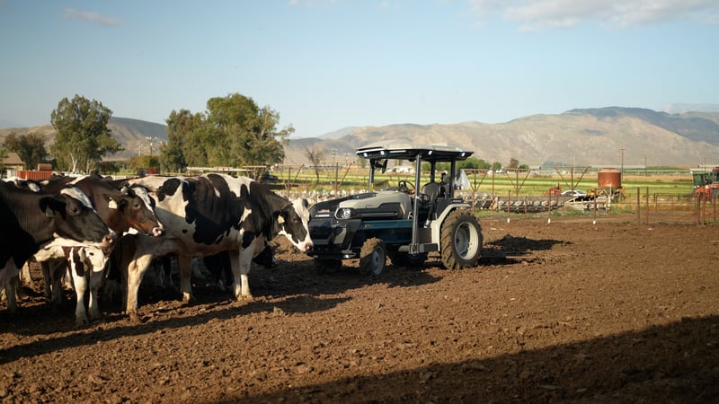 MK-V autonomous electric tractor next to cows at a dairy farm