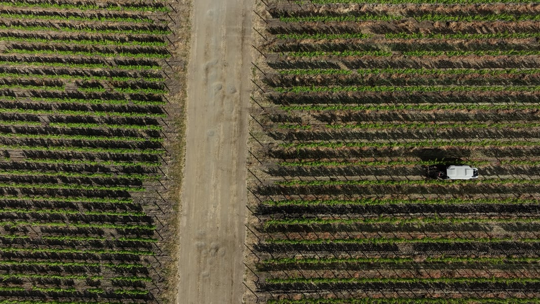 Overhead image of Monarch MK-V vineyard tractor working vineyard rows.