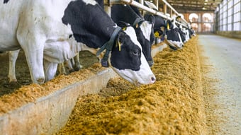 Cutting Costs with Electrification: Spotlight on MVP Dairy