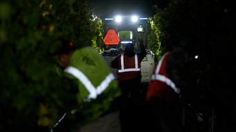 Les premières vendanges de Napa avec le MK-V