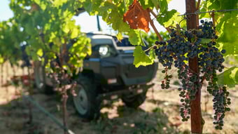 Beckstoffer Vineyards fa il punto sulla sua flotta di MK-V