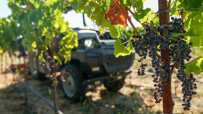 Beckstoffer Vineyards fa il punto sulla sua flotta di MK-V