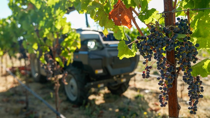 MK-V Tractor Driving in Vineyard