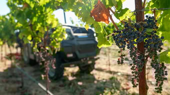 Beckstoffer Vineyards opina sobre su flota MK-V