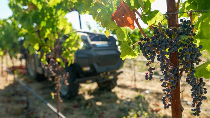 Beckstoffer Vineyards opina sobre su flota MK-V