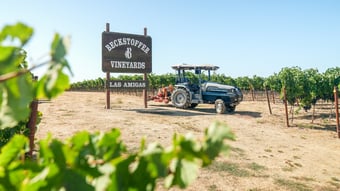 California Bountiful intervista il cliente Monarch, Beckstoffer Vineyards