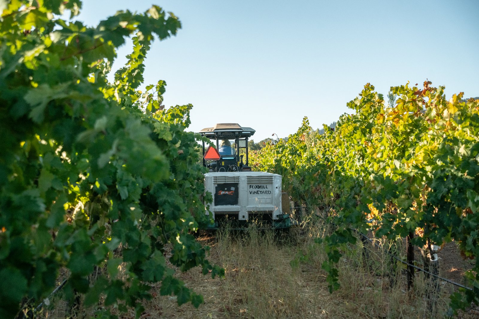 5 AgTech Trends for 2024 Insights by Monarch Tractor