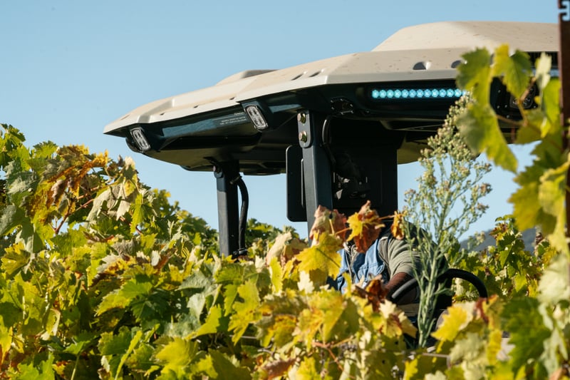 MK-V Tractor in a vineyard