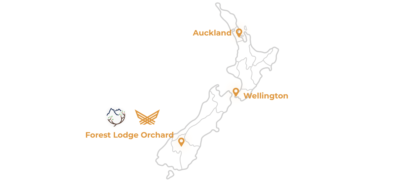 NZ0 Map