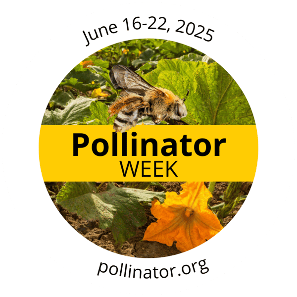 Pollinator-Week-Logo-2025-EN-1