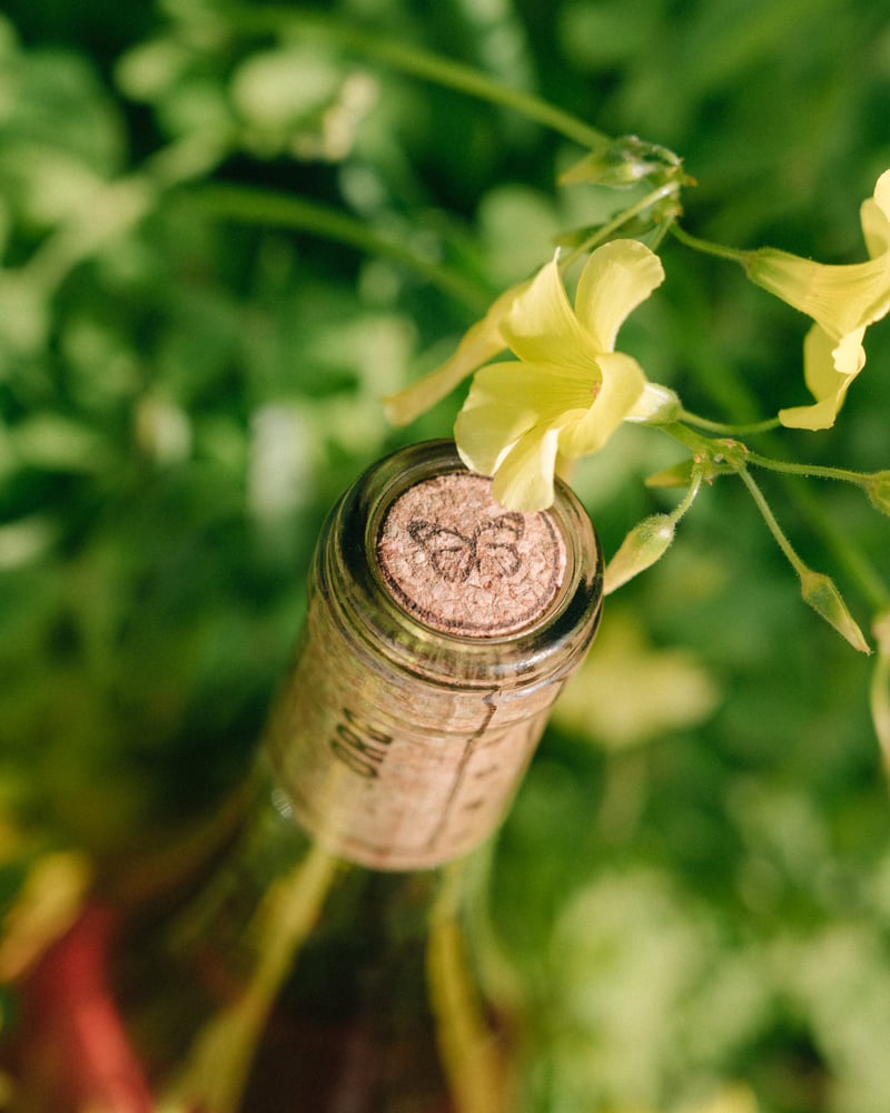 Wine bottle cork stamped on top with a monarch butterfly sitting in a meadow next to a yellow flower.