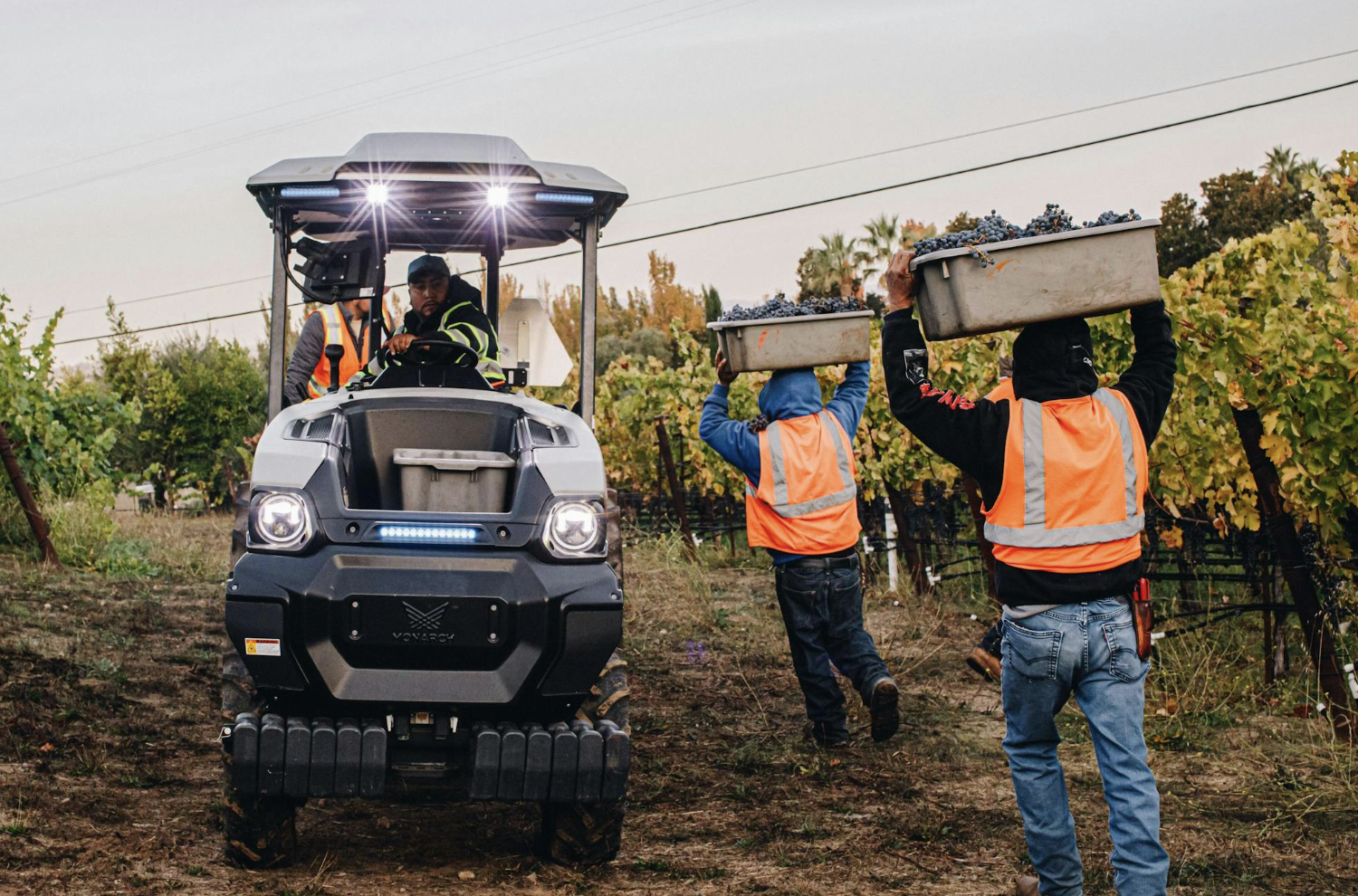 NEOTEMPO Harvest with MK-V Tractor