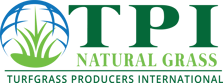 TPI_Logo