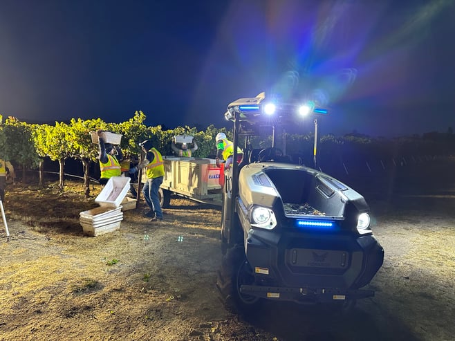 MK-V high visibility during harvest