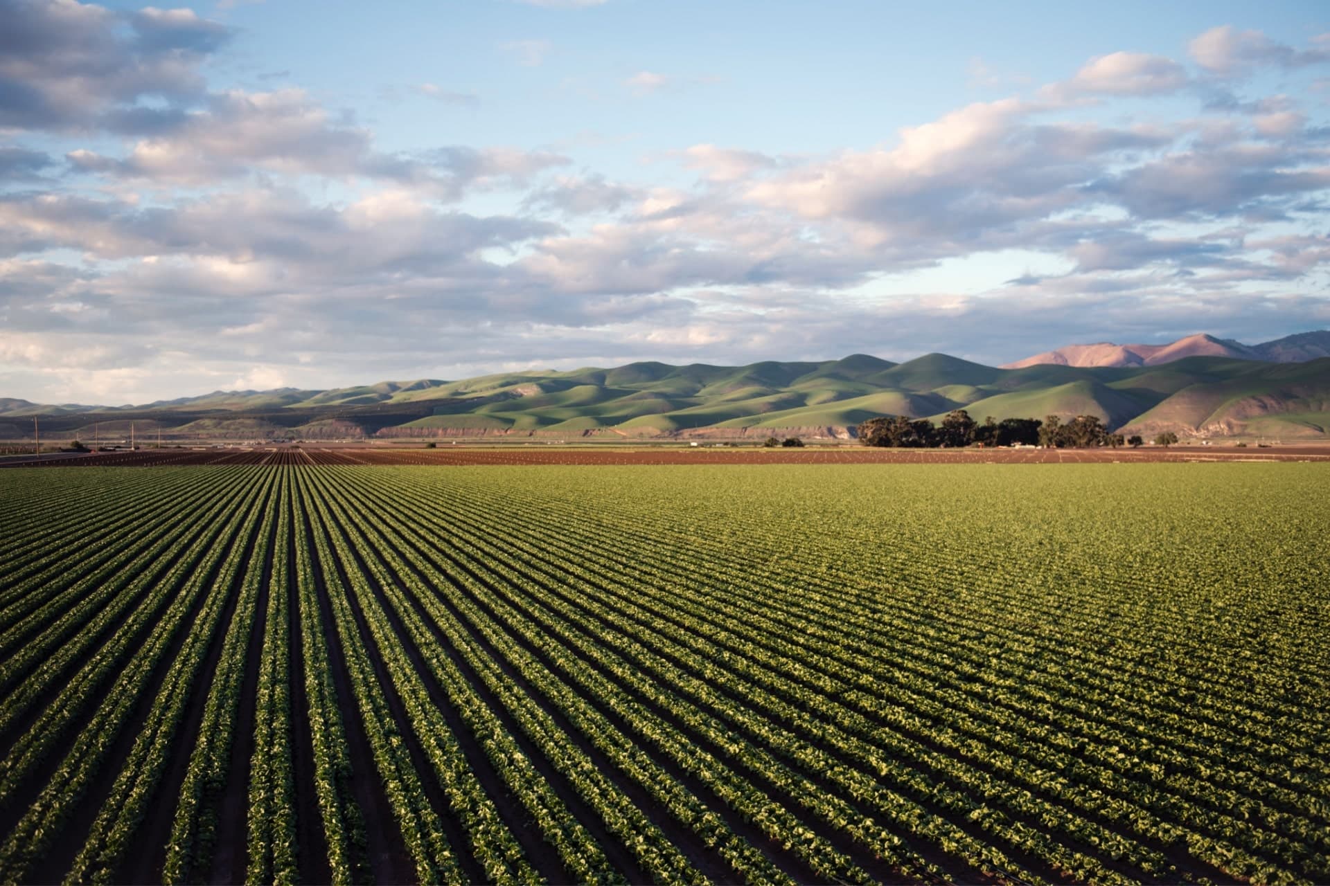 Monarch Tractor Receives 2021 RBR50 Innovation Award