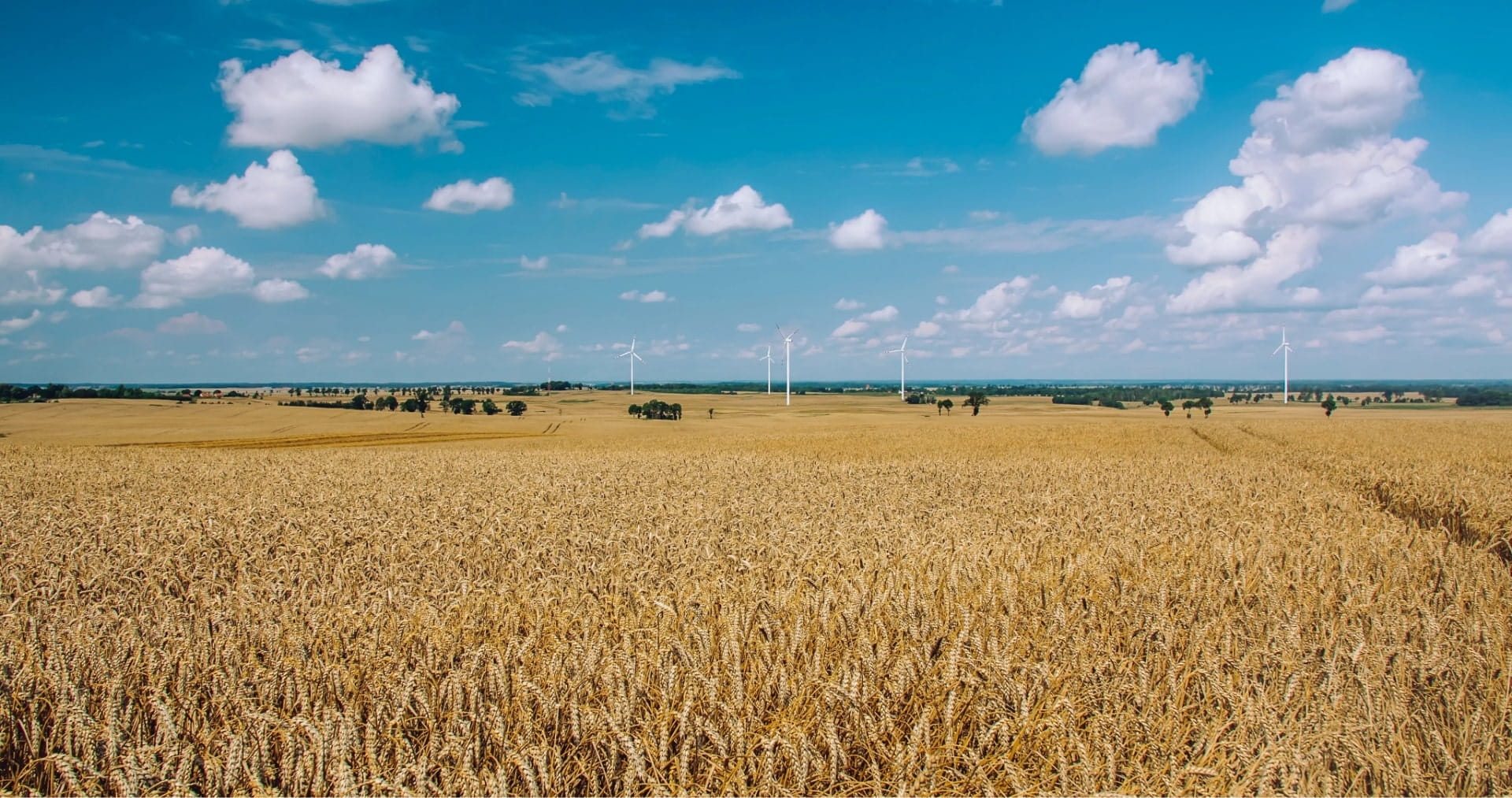 Monarch Tractor Wins 2021 Golden Bridge Business And Innovation Award