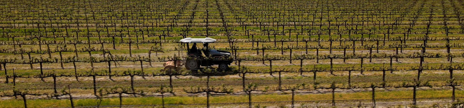 Monarch Earns Finalist Spot for Food Planet Prize 2023