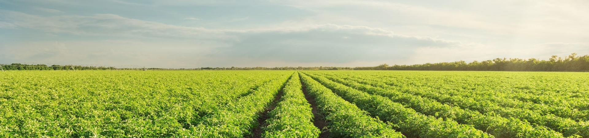 Monarch Tractor and VST Tillers Tractors Ltd. Announce Technical Partnership