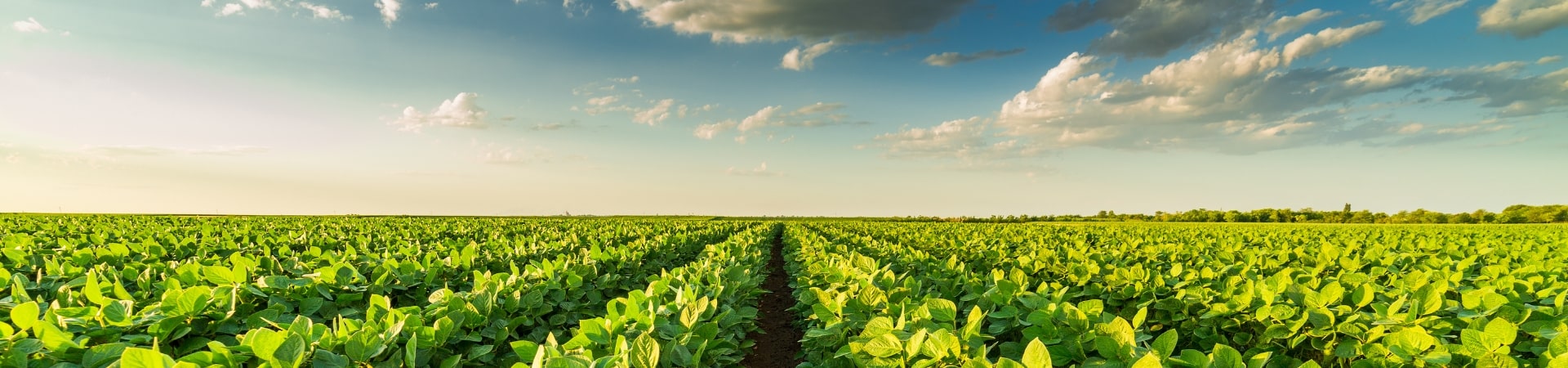 Monarch Tractor Secures Additional Funding From Musashi Seimitsu Industry Co., Ltd