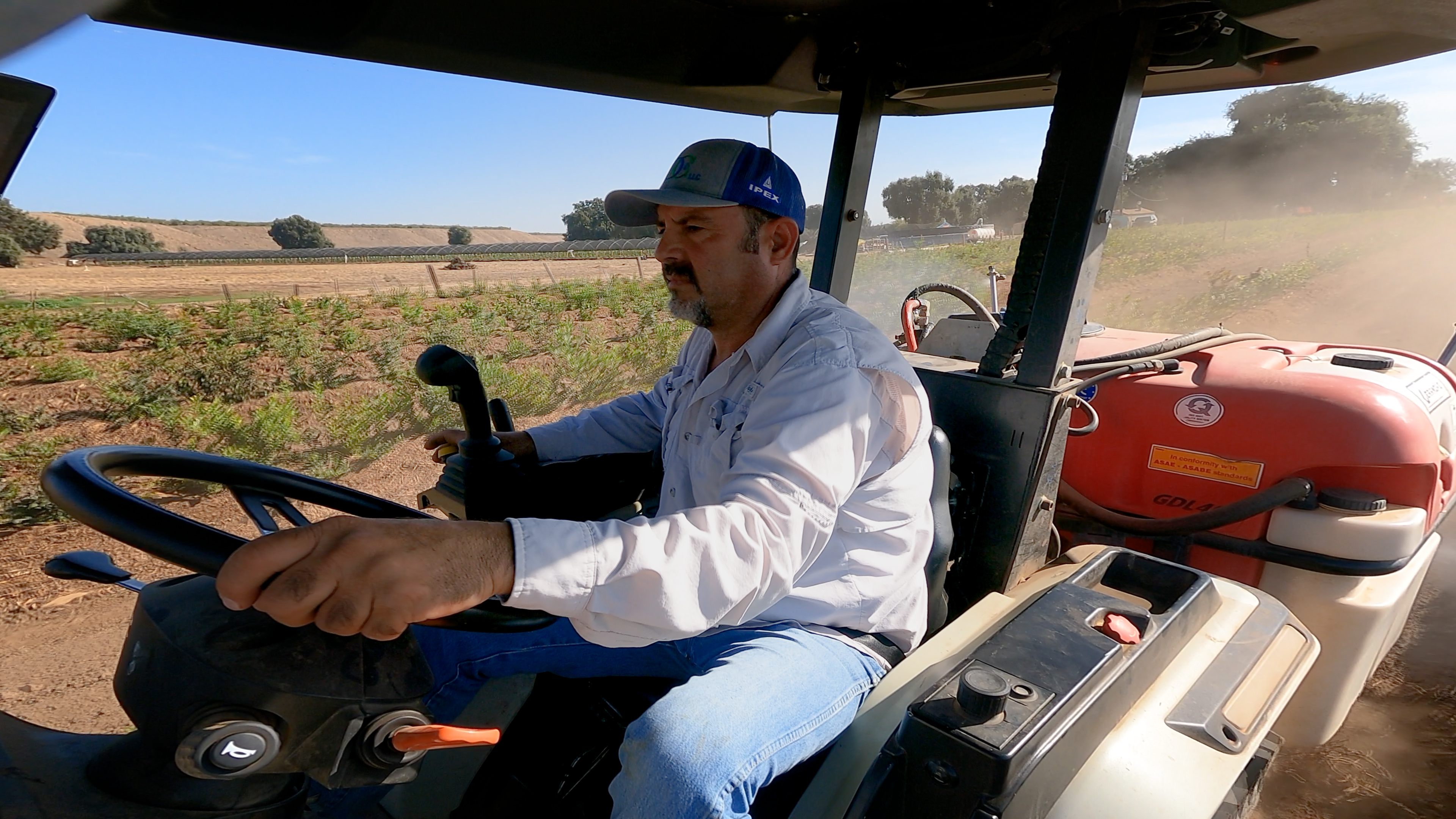 Blueberry Farming Trials