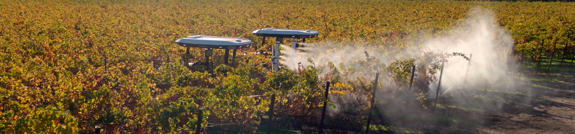 Carlo Mondavi Talks Farm Profits & Planet with The Washington Post