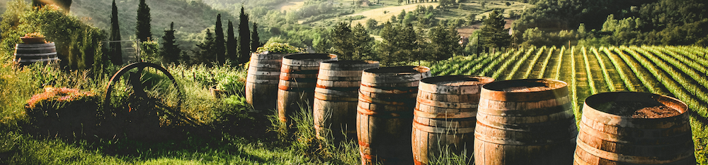 Forward-Thinking California Winemakers Creating Change Through Innovation and Sustainability