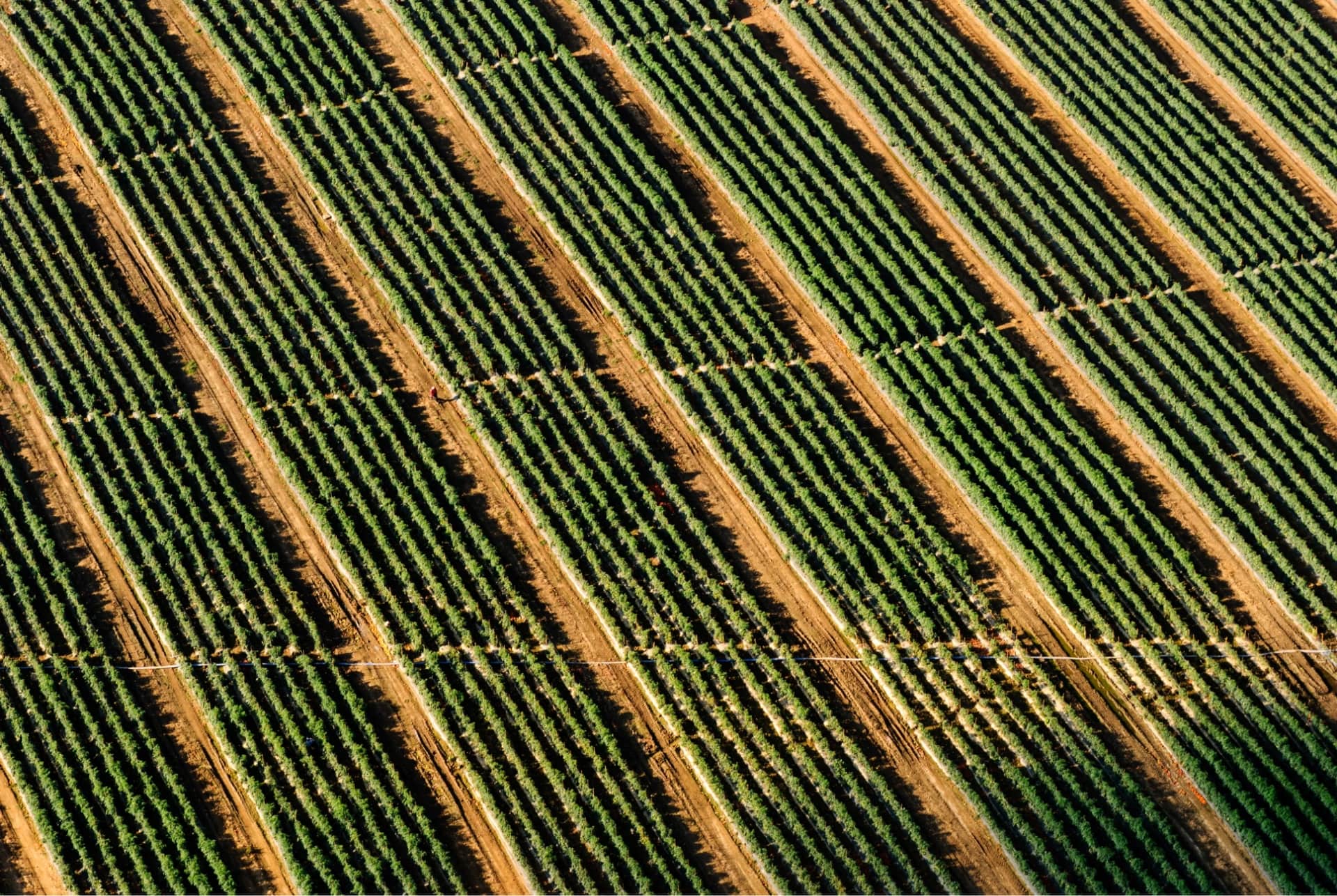 Tractors Finally Get the Tesla Treatment [Bloomberg]