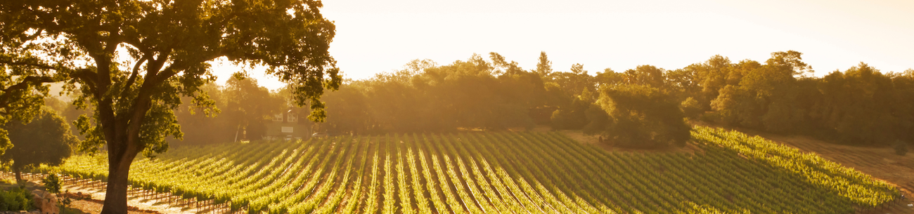 Crop Robotics 2022, Beyond the Valley of Death